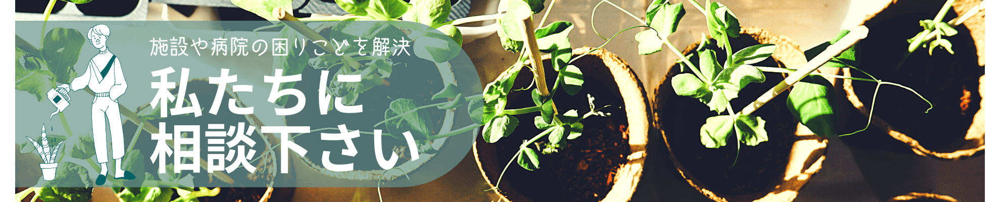 画像の説明 画像の説明